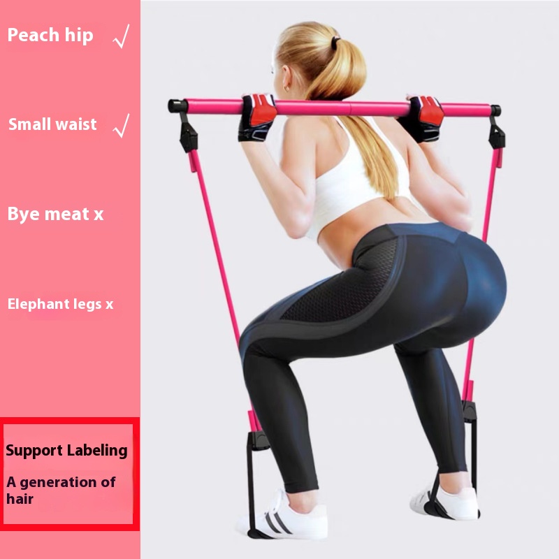 Pilates Stick - Adjustable Fit - Pilates Toning Ball recension och pris