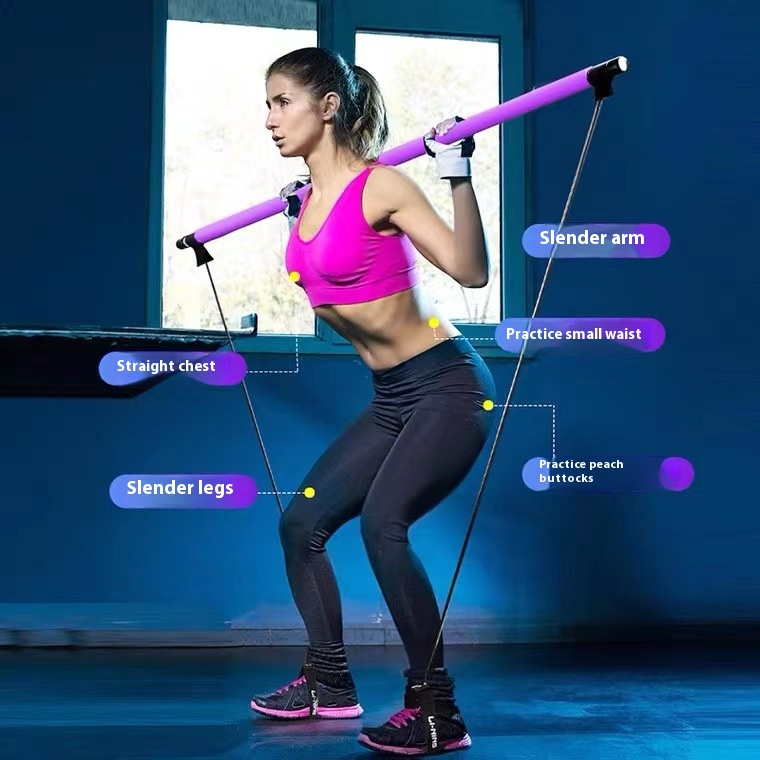 Pilates Stick - Adjustable Fit - Pilates Toning Ball recension och pris